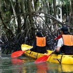 พายเรือคายัค ครึ่งวัน