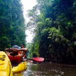 พายเรือคายัค ที่อ่าวท่าเลน