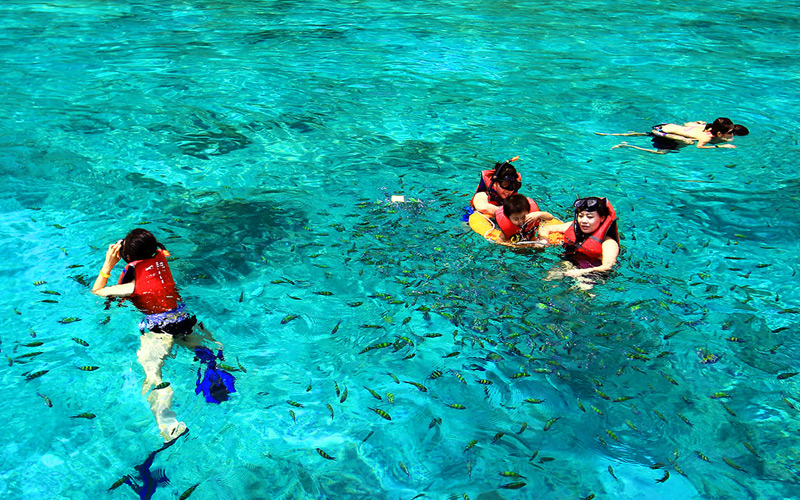 snorkeling-phi-phi-krabi-5