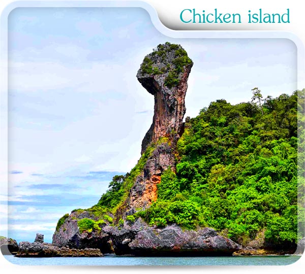 Chicken island in 4 Island package