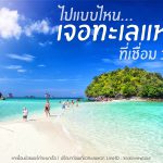 เที่ยวทะเลแหวก ยังไงให้ได้เจอ